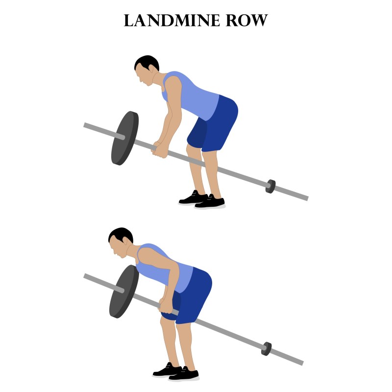 landmine row diagram drawing of man wearing blue doing landmine row white background with both arms